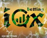 Каппер IQX BETTING