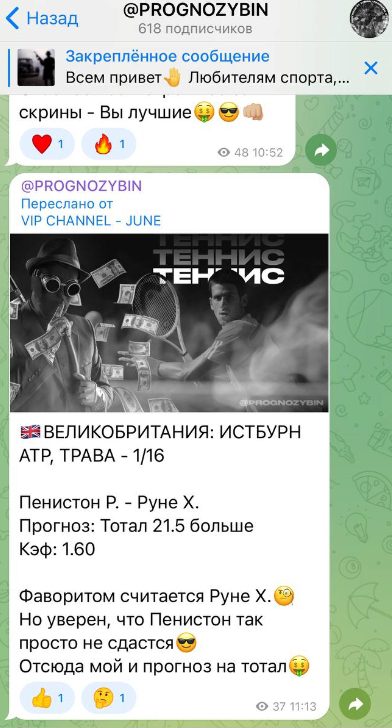 PROGNOZYBIN в Телеграмм