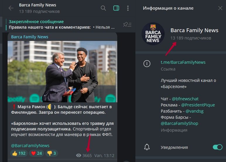 Барса Фэмили телеграм пост
