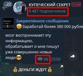 Просмотры и подписчики Телеграмм Купеческий секрет