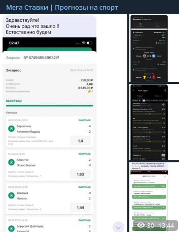 Мега Ставки Телеграм