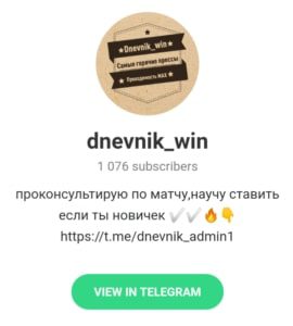 dnevnik_win