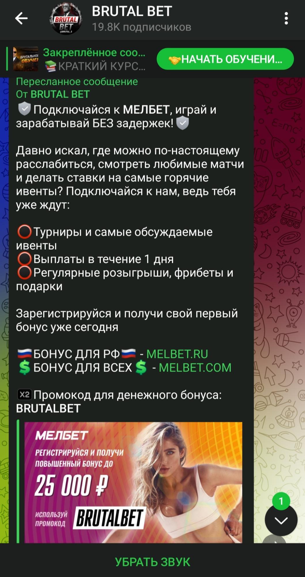 Проект Brutal bet