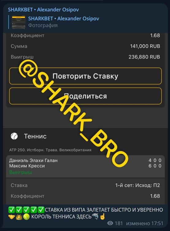 Канал Sharkbet