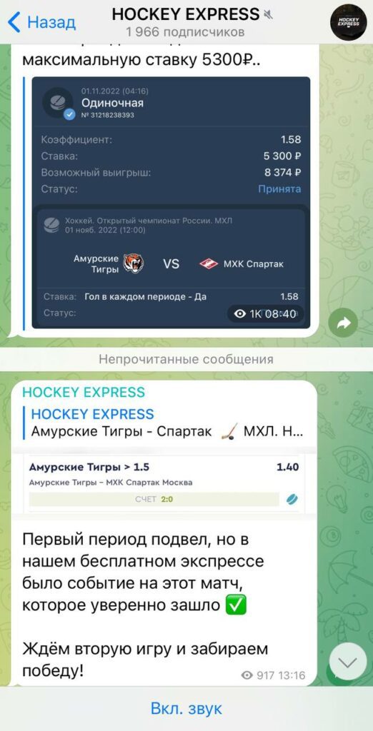 Каппер HOCKEY EXPRESS