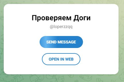 Проект Loperzzqq