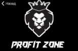 PROFIT ZONE