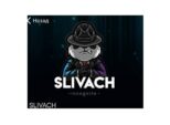 SLIVACH