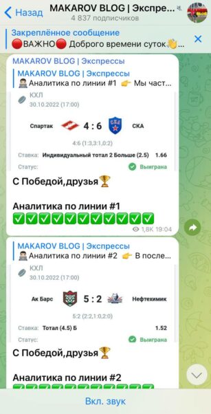 Статистика Makarov blog