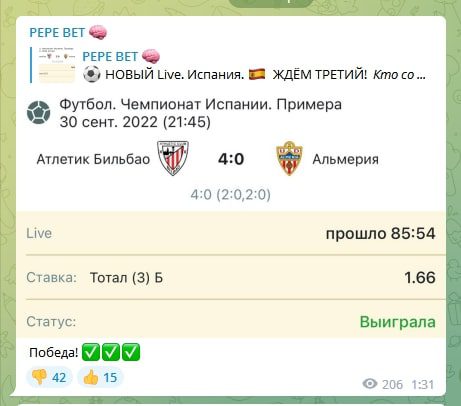 Статистика PEPE BET