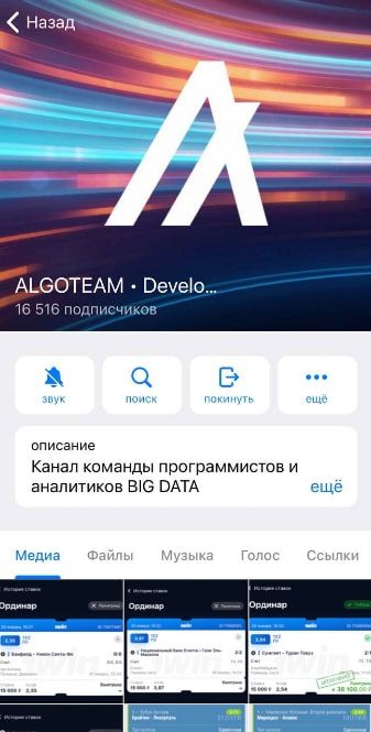 Телеграмм ALGOTEAM