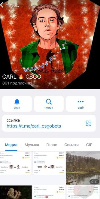 Телеграмм CARL CSGO