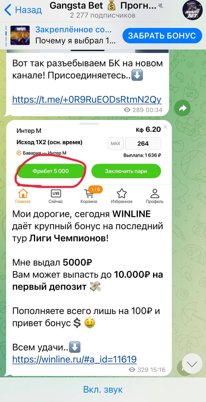 Телеграмм канал Gangsta Bet