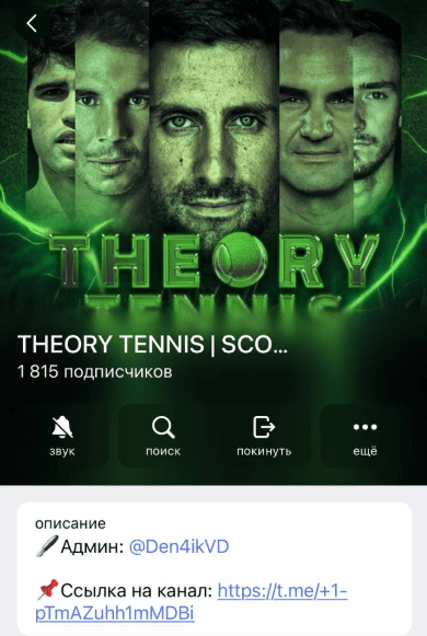 THEORY TENNIS