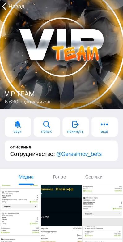 VIP TEAM телеграм